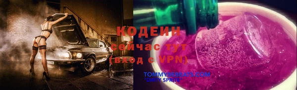прущие грибы Заводоуковск