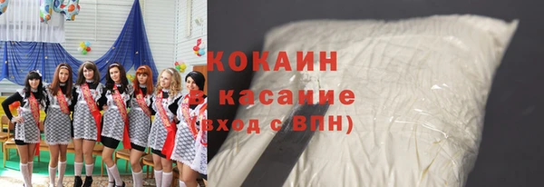 прущие грибы Заводоуковск