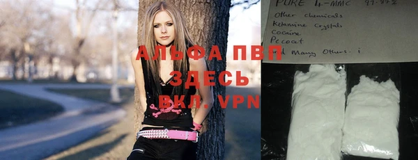 прущие грибы Заводоуковск