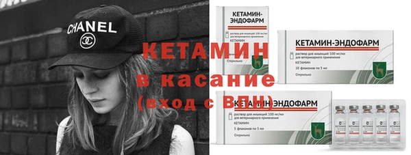 прущие грибы Заводоуковск