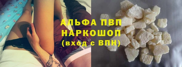 сатива Заволжье