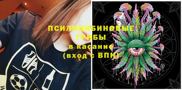 прущие грибы Заводоуковск