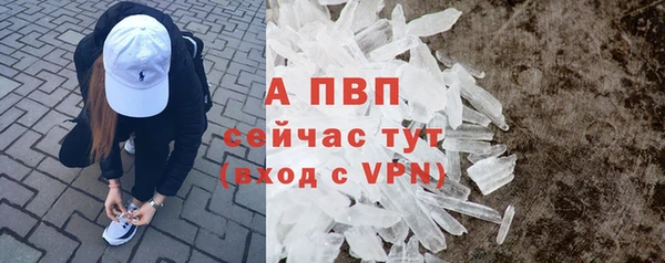 амф Ельня