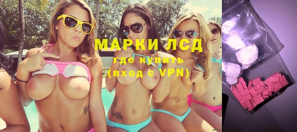прущие грибы Заводоуковск