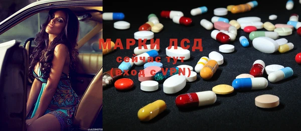 прущие грибы Заводоуковск