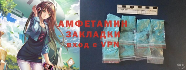 прущие грибы Заводоуковск