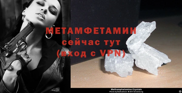 сатива Заволжье
