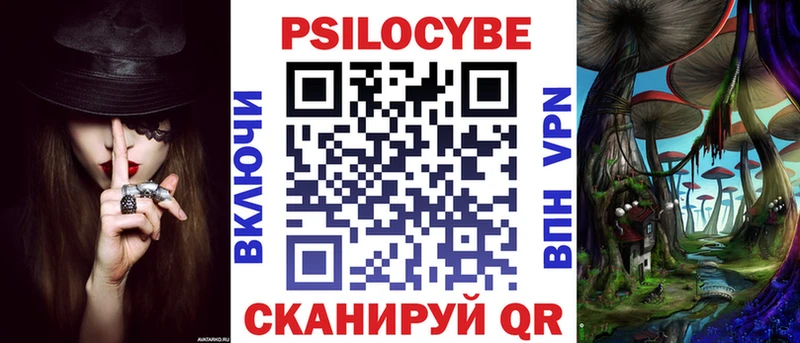 kraken   Севск  Псилоцибиновые грибы ЛСД 